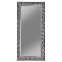 Rollins Rectangular Floor Mirror - Black - Silver 