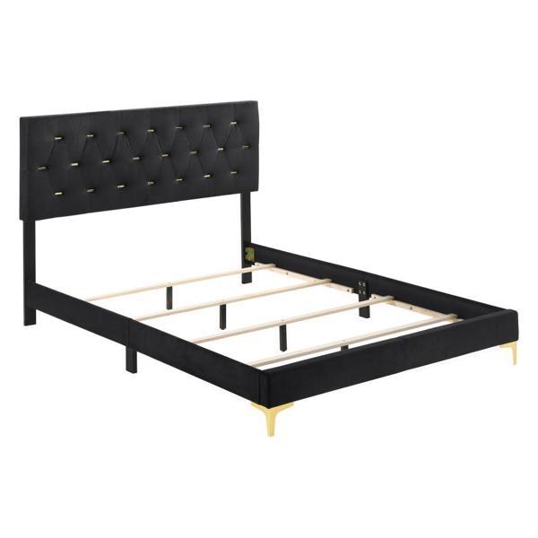 Kendall Upholstered Eastern King Panel Bed - Black Velvet - Gold Accents 